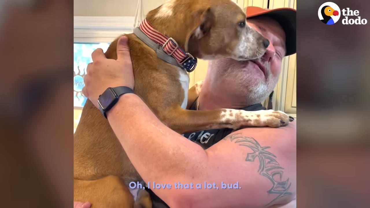 A man wearing an orange cap hugs a brown and white dog close to his face as the dog affectionately nuzzles his nose.