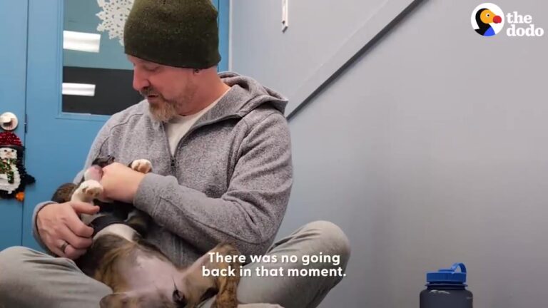 California Wife Plans A Secret Foster Mission And The Result Leaves Her Husband In Tears