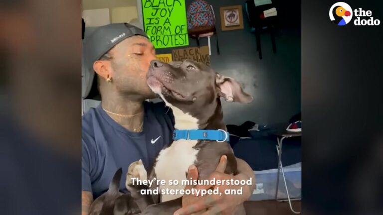 California Man Fosters Over 40 Misunderstood Dogs To Honor The Best Friend He Lost