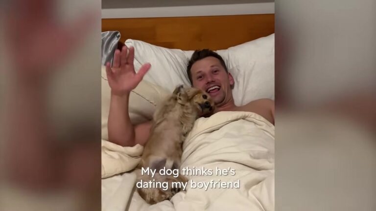 California Woman Jokes Her Dachshund Is Dating Her Boyfriend, And Their Daily Routine Explains Why