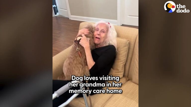 Pennsylvania Family Brings Their Dog To Visit Nana After Her Alzheimer’s Diagnosis, And Her Reaction Is Unforgettable
