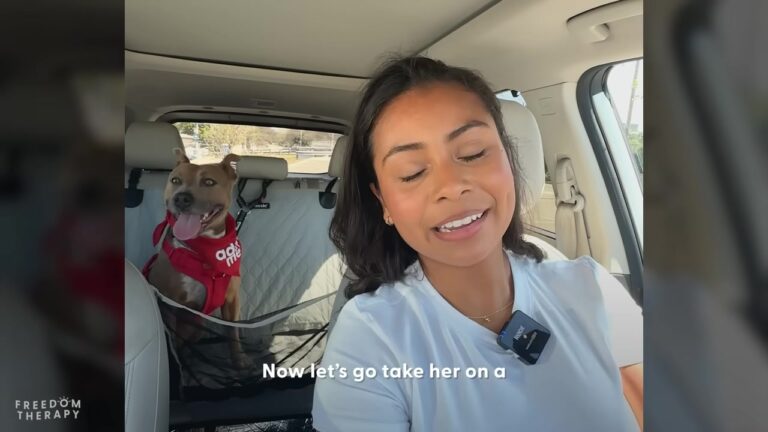 California Dog Waiting Longest At The Rescue Gets A Special Beach Day That Reveals Her True Spirit