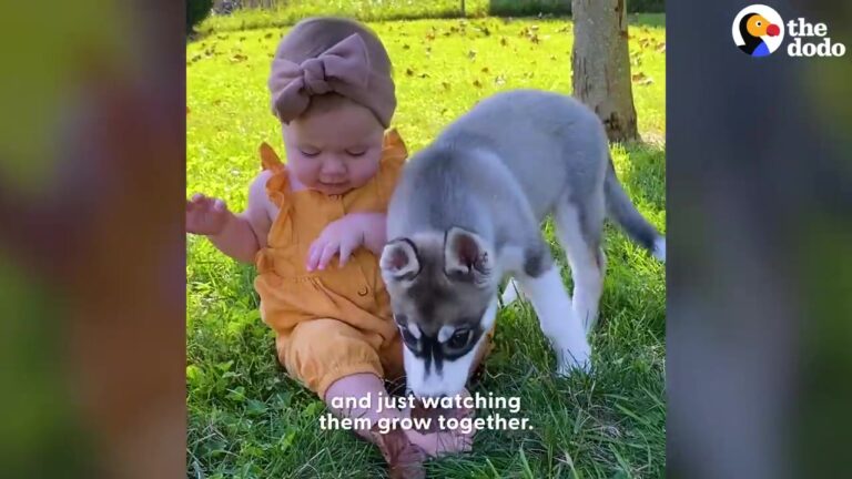 Ohio Family Wanted Their Baby And Puppy To Grow Up Together, But Their Bond Became Something Truly Magical