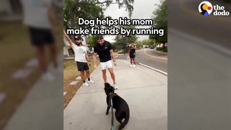 Florida Woman Joins A Run Club With Her Dog, But He Quickly Becomes The Star Of Every Meetup