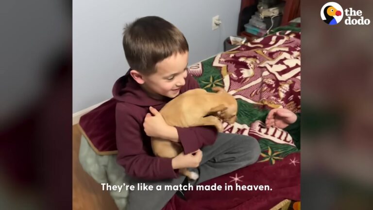Texas Family Took In A Free Puppy And The Stepson’s Reaction Is Pure Magic