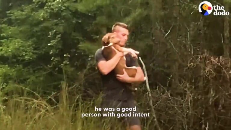 Lonely Georgia Stray Waits Beside a Deserted Road, Then One Man’s Gentle Approach Begins to Change Her Life