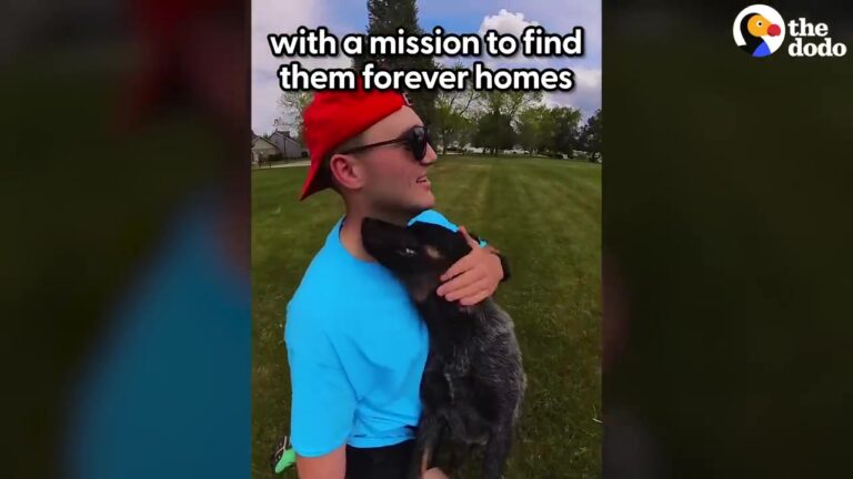 Every Dog This North Carolina Runner Helps Seems To Get Adopted, And Shelter Workers Are Amazed