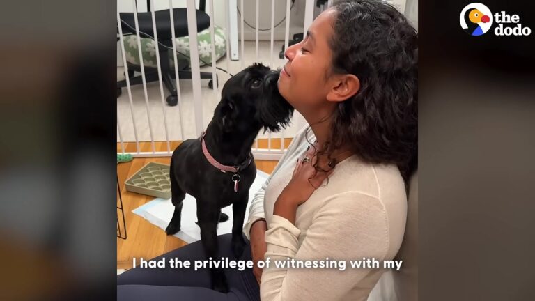California Dog Had To Be Carried To The Same Patch Of Grass Until One Day He Surprised Everyone