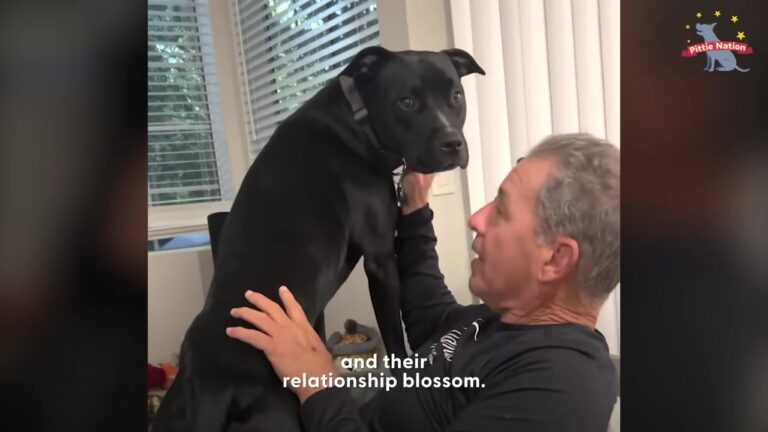 Texas Dad Said He Would Never Accept A Pit Bull, But One Sweet Rescue Dog Completely Changed His Heart