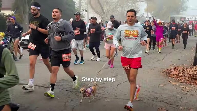 California Man Gives An Overlooked 9-Pound Chihuahua A Chance, Never Imagining She’d Become His Marathon Partner