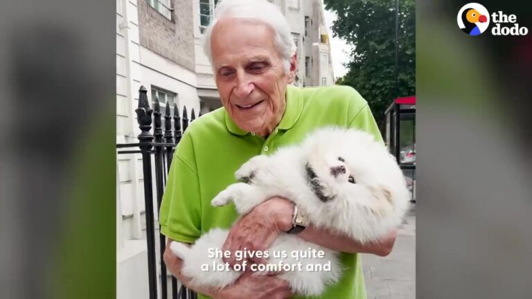 Ohio Dad Never Says No To His Pomeranian, And Their Sweet Routine Means More Than Anyone Expected