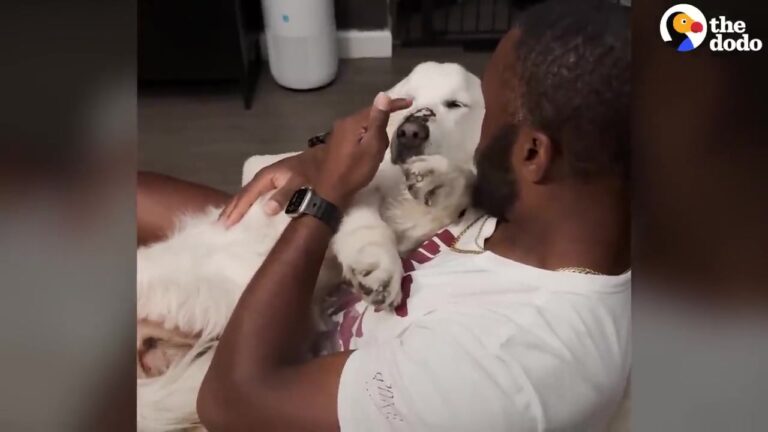 No One Knew What Georgia Dog Had Been Through Until A Simple Household Chore Terrified Her