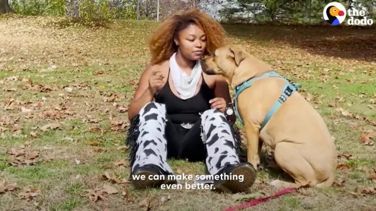 Hopeful Georgia Pit Bull Faces The Same Painful Question Every Time She Visits The Dog Park