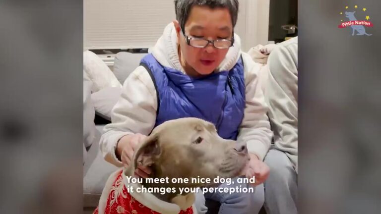 California Mother Was Terrified Of Dogs For Decades, But Two Pit Bulls Change Her Heart Completely