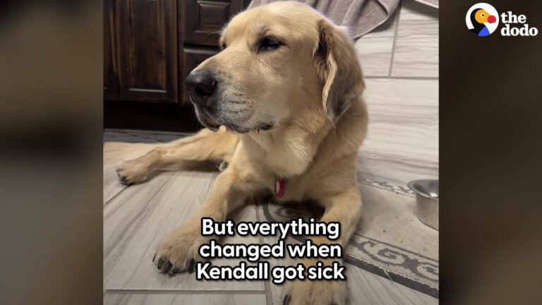Georgia Dog Has Always Been A Second Mom To Her Human Siblings, Until A Devastating Diagnosis Turns The Tables