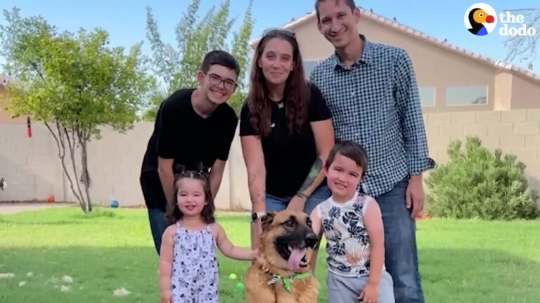 Shelter Dog Who Had Lost His Spark Joins A Texas Family, Where A Simple Game Of Fetch Begins His New Chapter