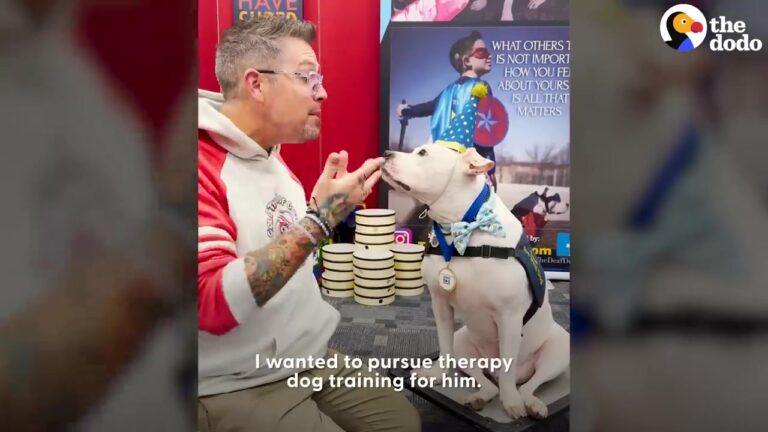 New Jersey Owner Notices Something Special About Deaf Puppy Cole And Realizes He Could Help Children In An Unexpected Way