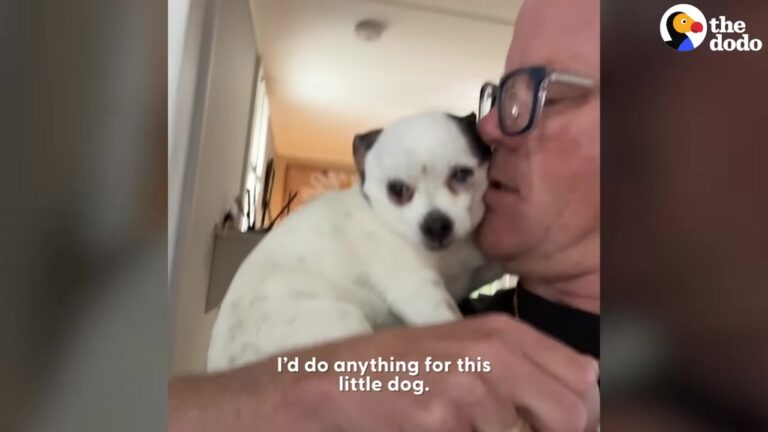Texas Dog Refuses To Walk On Her Own, But Her Dad’s Morning Routine Proves True Love Exists