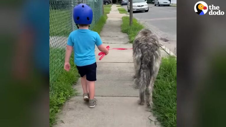 Ohio Boy Thought His Dad Was Tricking Him, But The Surprise Waiting Inside Changed His Life