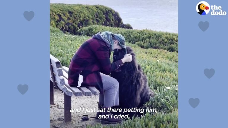 A California Heartbroken Woman Stood Near The Ocean With Her Dog Beside Her, Then He Suddenly Took Action