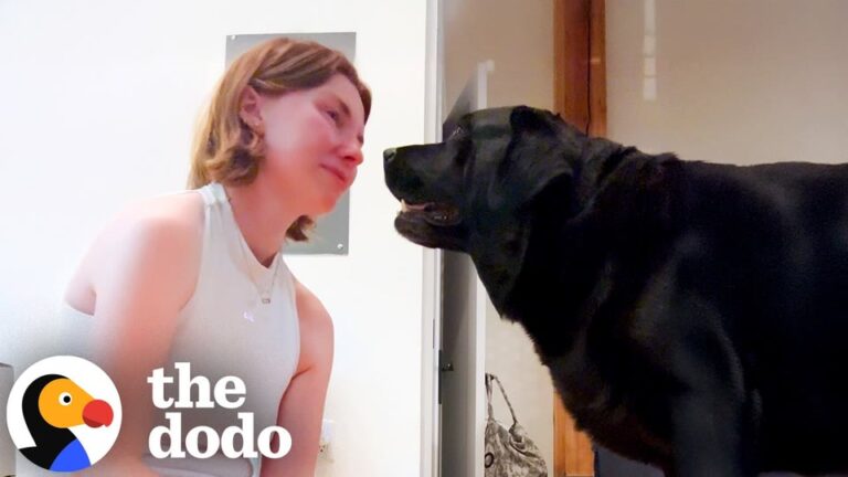 California Dog Sitter Took A Job For Extra Cash, But One Wednesday Pup Changed Her Entire Life