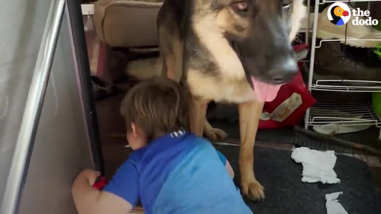 Michigan Dog Shows Her Teeth To Keep People Away Until Rescuers Try Something Different